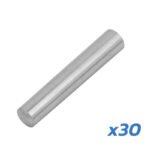Goupille de charnière V1 Dualtron – lot de 30 unités – Image 3