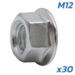 Écrous d’axe moteur Dualtron M12 – lot de 30 unités – Image 5
